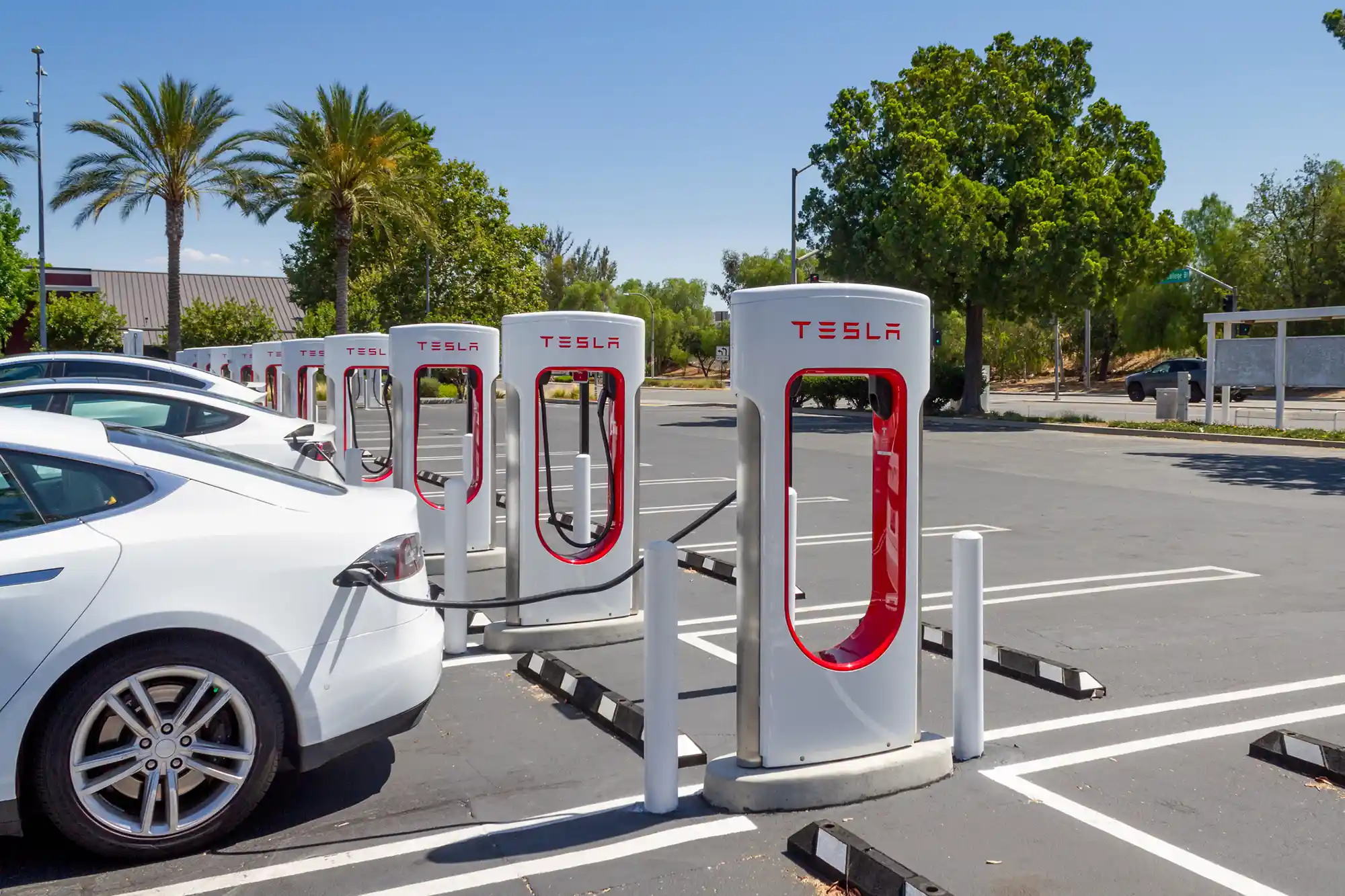 EV Charging Systems Albany: Types, Benefits & Future Trends